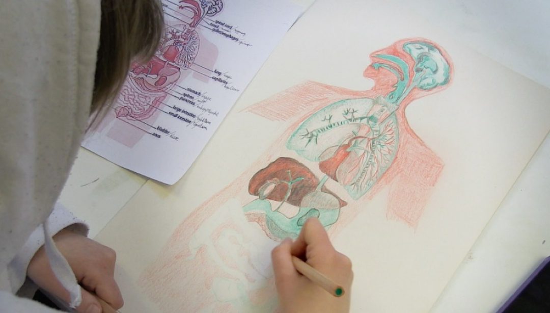 Hva er verdigrunnlaget i steinerpedagogikken i dag og i fremtiden?